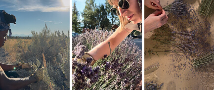 Phillip and Sierra searching for ingredients