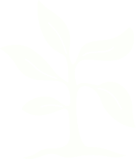 Vegan/Sustainable